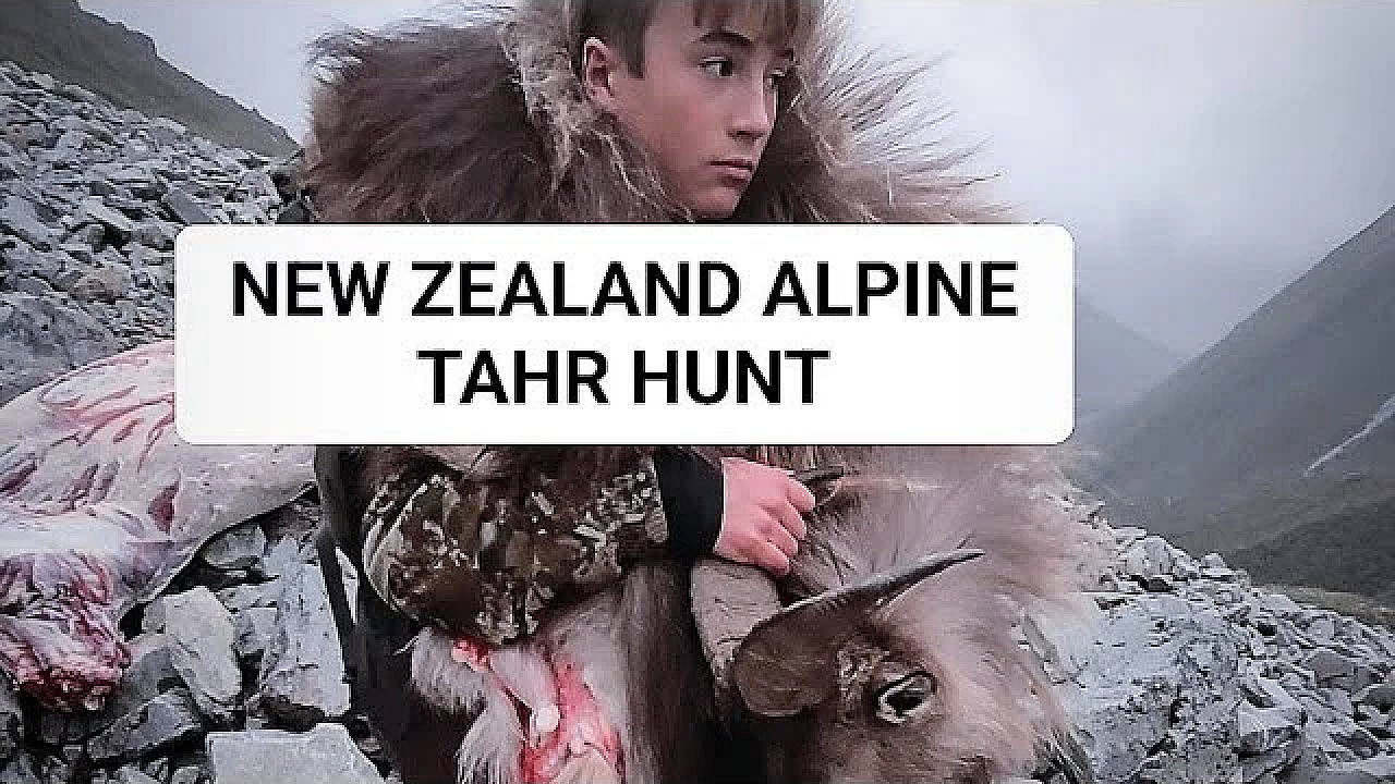 Adventure Vlog 213 - Tahr Hunt Part 2, Main Divide