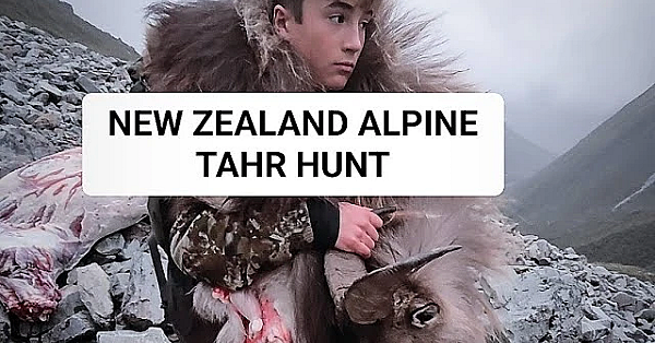 Adventure Vlog 213 - Tahr Hunt Part 2, Main Divide