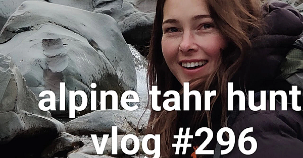 New Zealand Adventure Vlog#295 Hunting Himalayan Tahr Alpine Walk In Camping 4wd Mission