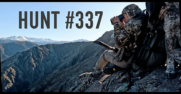 Hunting Chamois On Horseback - Part 2 New Zealand Outback Wilderness Hunt Mountain Horses Outfitters