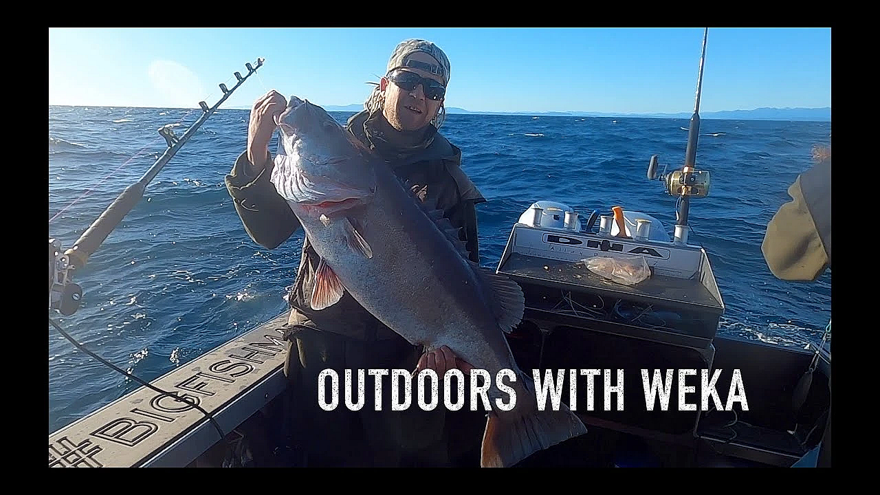 Offshore Fishing With Weka In The Hokitika Trench New Zealand South Island