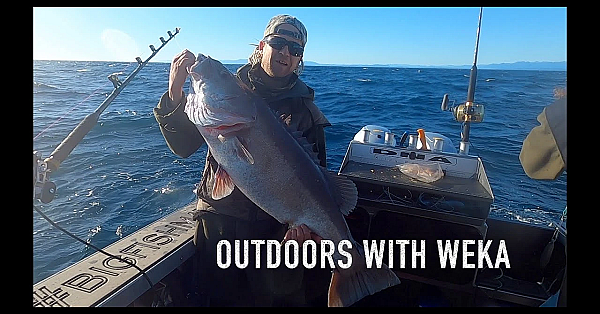 Offshore Fishing With Weka In The Hokitika Trench New Zealand South Island