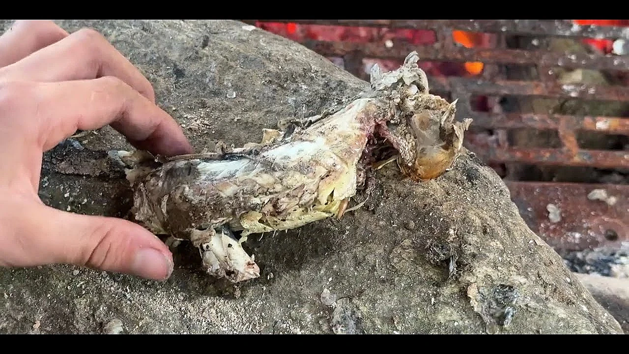Cooking fish on the fire with the lads... a clip from VLOG 376 New Zealand Adventure VLOGS