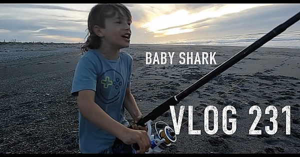 Vlog 231 Baby Shark And A Few Kahawai More....