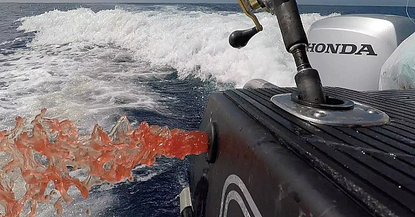 Josh James Hokitika Trench Deep Sea Fishing For Hapuka, Trumpeter And Bluenose