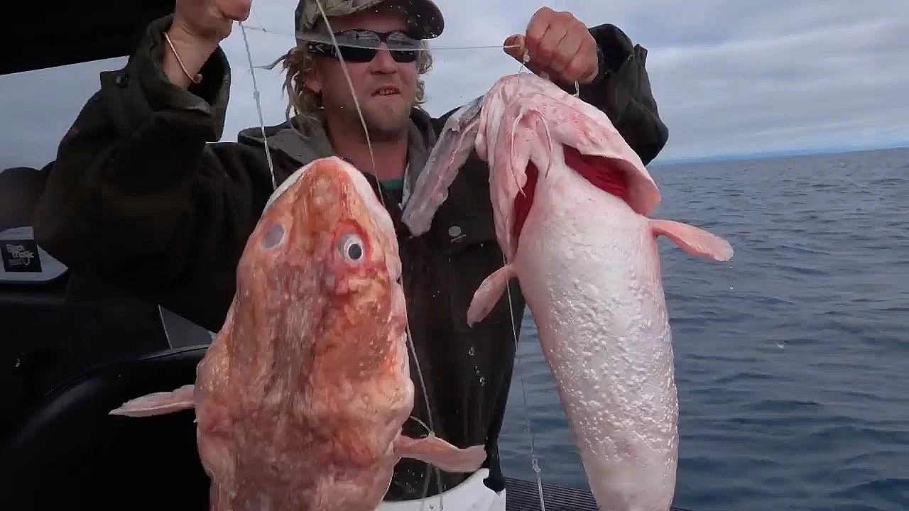 Offshore Fishing Hokitika Trench South Island New Zealand With Josh James And Friends