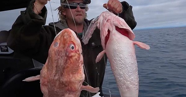 Offshore Fishing Hokitika Trench South Island New Zealand With Josh James And Friends