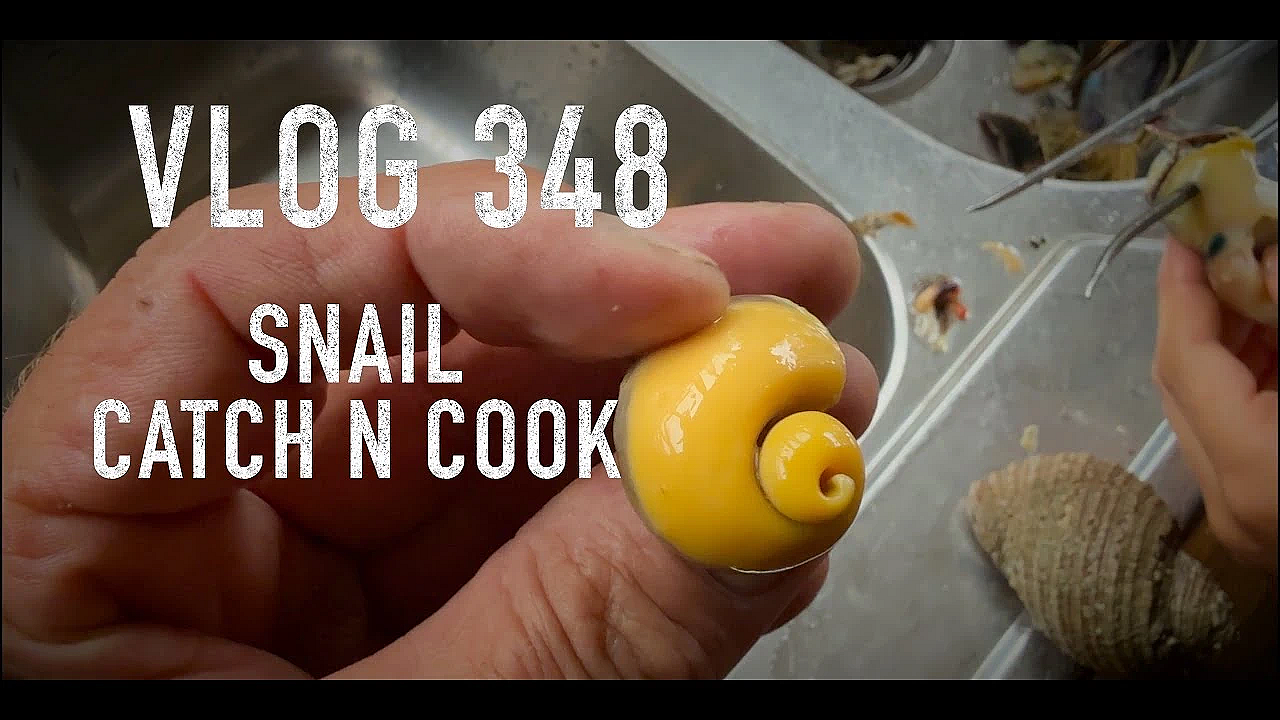 Josh James NZ ADVENTURE VLOG 348 Deer hunt with Sonny Jim - Garden - BEACH MISSION Mussel recipe