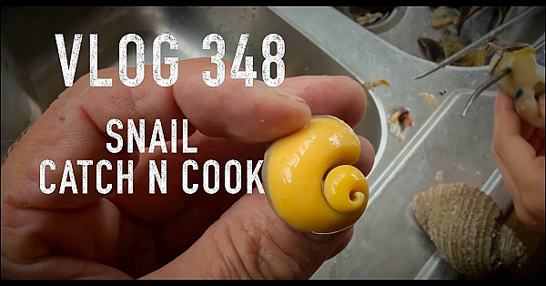 Josh James NZ ADVENTURE VLOG 348 Deer hunt with Sonny Jim - Garden - BEACH MISSION Mussel recipe