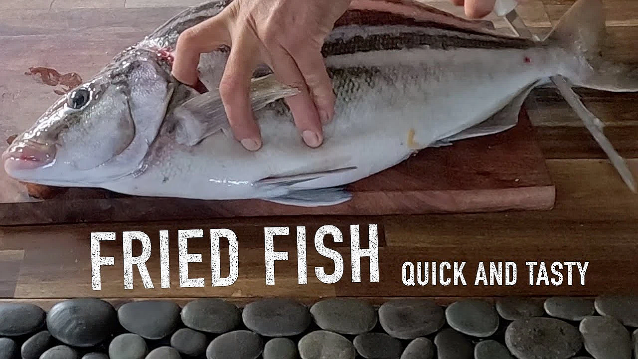 Fish Catch N Cook Recipe- Trumpeter Fry Up With Josh James, Quick And Easy, Works With Any Fish