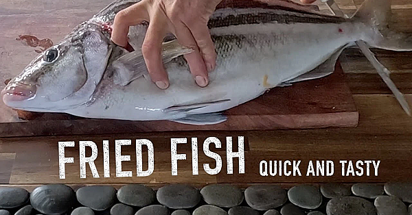 Fish Catch N Cook Recipe- Trumpeter Fry Up With Josh James, Quick And Easy, Works With Any Fish