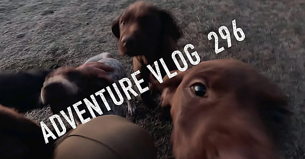 Josh James New Zealand Adventure Vlog #296 Tuna Hunting, Mucking Around 4wd And Tahr Hunt Aftermath