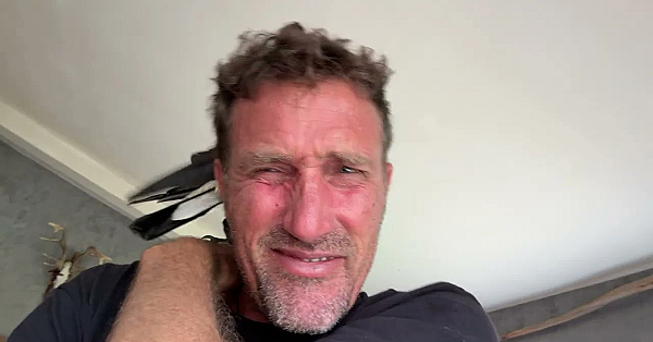 Magpie Not Happy, Wants To Fly Away Into The Wild