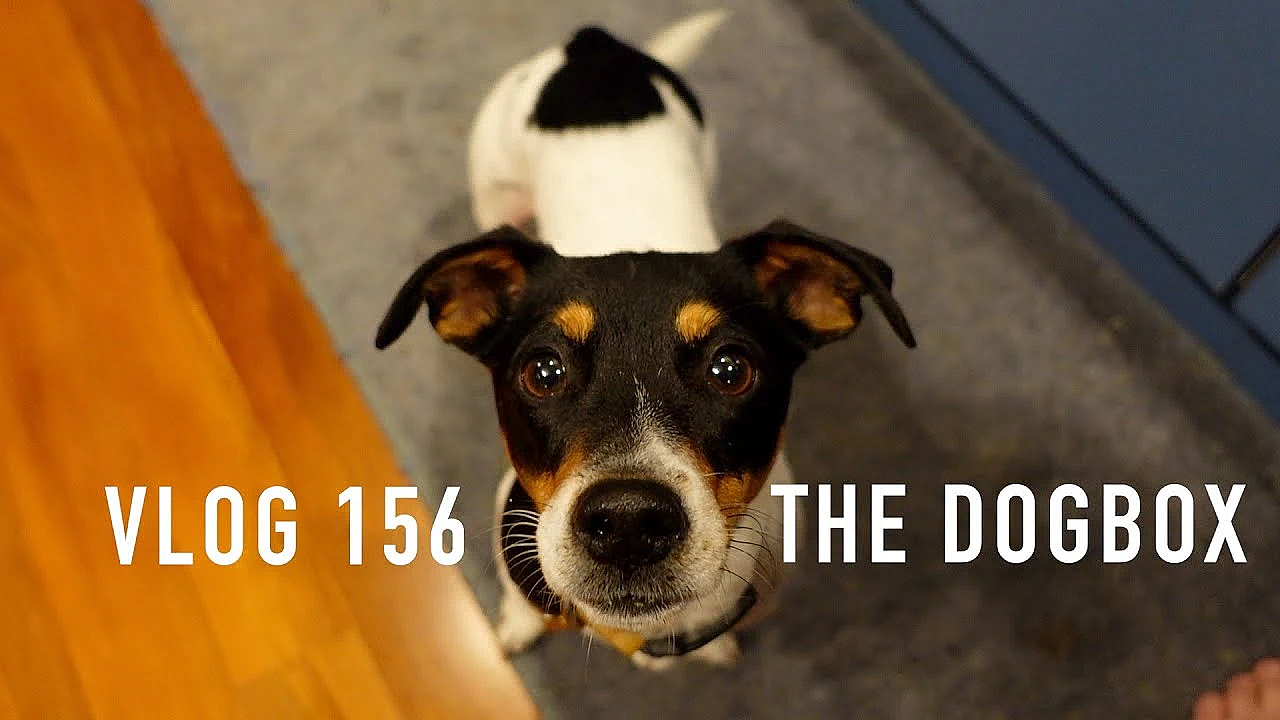 The Dog Box Road Trip #1