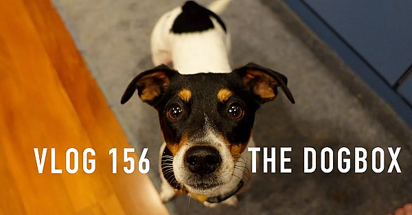 The Dog Box Road Trip #1
