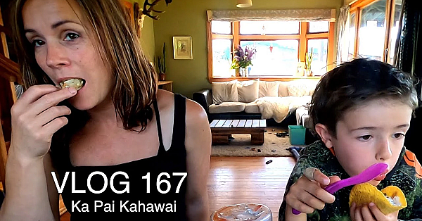 Adventure Vlog 167 New Zealand   Ka Pai Kahawai Hunting And Fishing Stuff With Josh James And Fam...