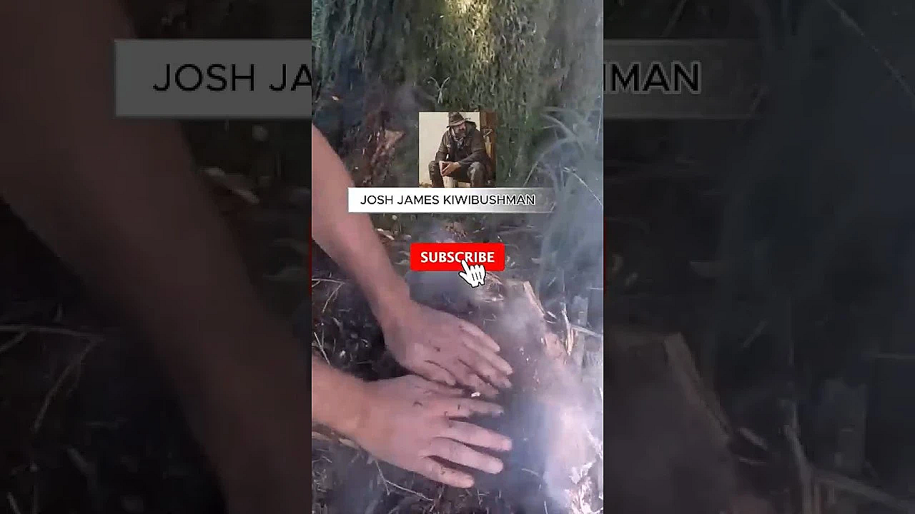 Fire Lighting Short #fishing #bushcraft #survival See The Full Video On My Channel