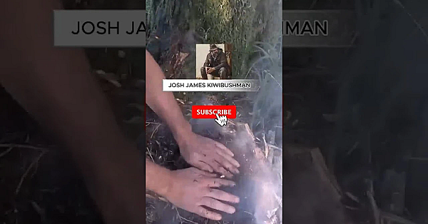 Fire Lighting Short #fishing #bushcraft #survival See The Full Video On My Channel