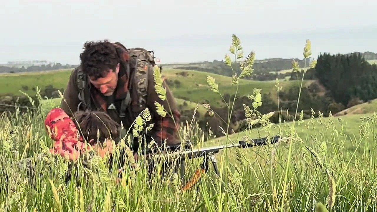 Father And Son Adventures In New Zealand