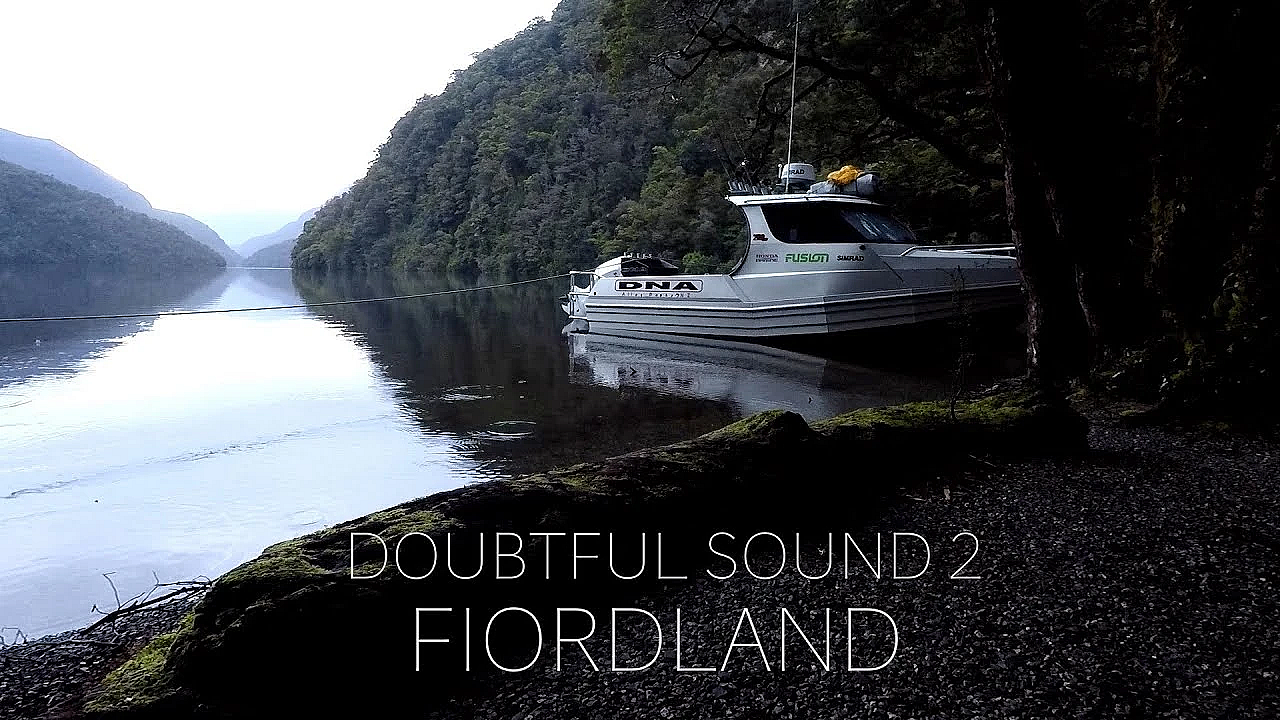Doubtful Sound #2 Fiordland Hunting And Diving And Fishing With Josh James Kiwi Bushman New Zealand