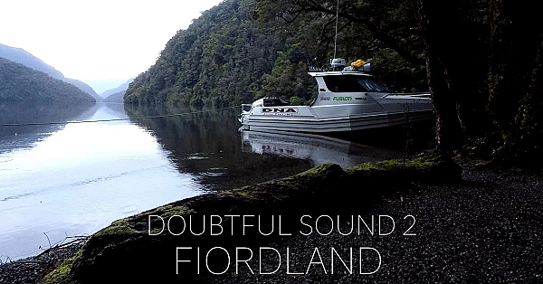 Doubtful Sound #2 Fiordland Hunting And Diving And Fishing With Josh James Kiwi Bushman New Zealand