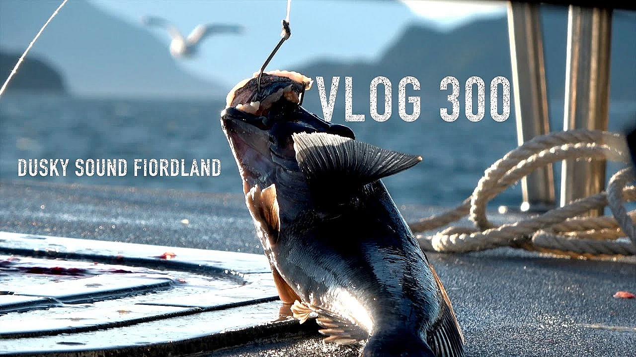 Sea Fiordland Vlog 300 Dusky Sound Mucking Around