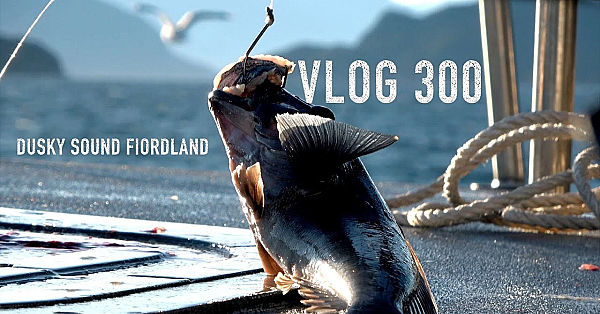 Sea Fiordland Vlog 300 Dusky Sound Mucking Around
