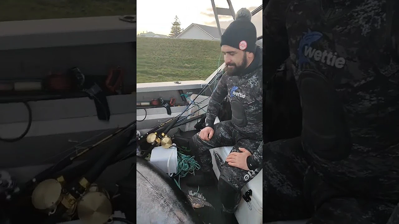 Potential World Record Southern Pacific Bluefin Tuna Spearfishing New Zealand #shorts #spearfishing