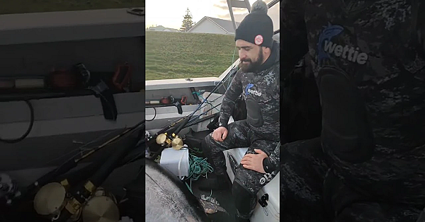 Potential World Record Southern Pacific Bluefin Tuna Spearfishing New Zealand #shorts #spearfishing