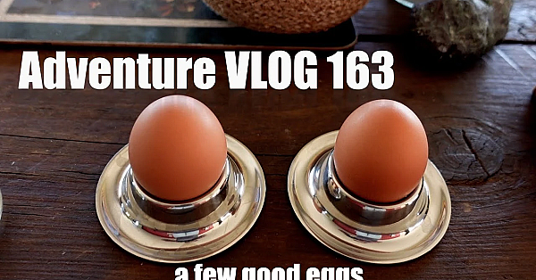 Adventure Vlog 163 Chch Jetboat Whitebait Deer Hunt Gutting Field Dressing Cheeseburger Eggs