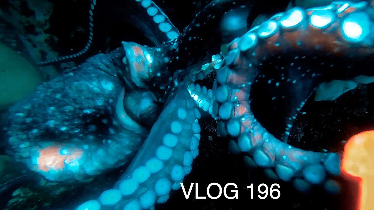 Josh James New Zealand Adventure Vlog 196 Short Teaser