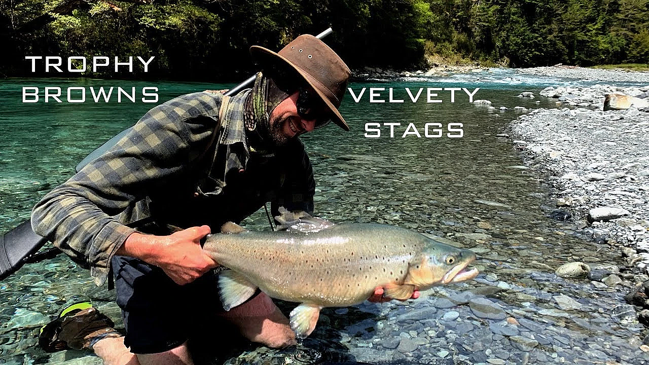 Trophy Browns And Velvety Stags In The South Island - Nov 2019 - Josh James And Sam Harrison