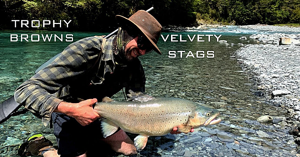 Trophy Browns And Velvety Stags In The South Island - Nov 2019 - Josh James And Sam Harrison