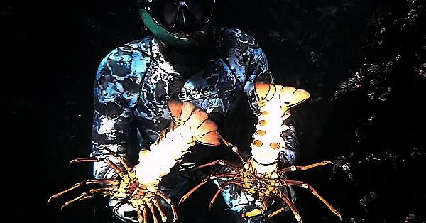 New Zealand Adventure Vlog 172  Haast Holiday Josh James And Family Freediving Spearfish Catch Cook