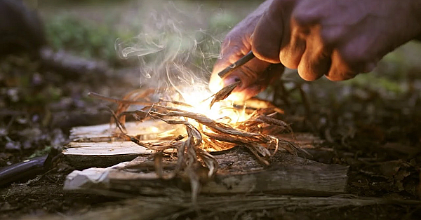 Adventure Vlog 210 - The Roar Part 4