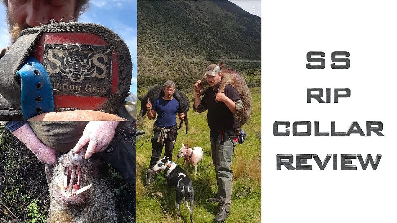 Pig Hunting Collar  - Southern Saddlery Collars