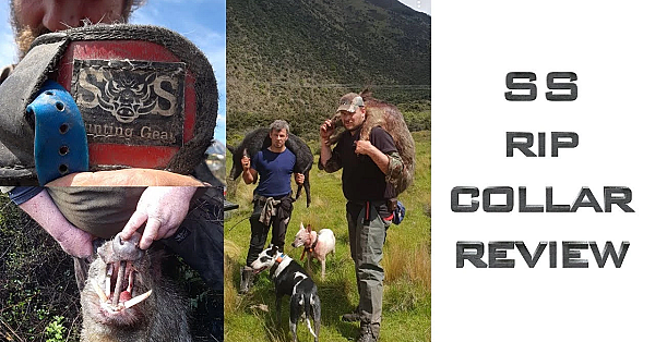 Pig Hunting Collar  - Southern Saddlery Collars