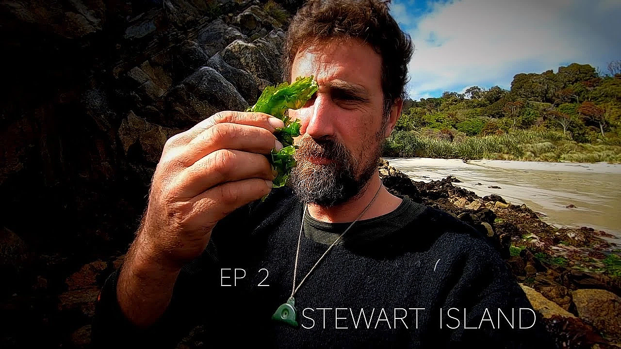 Josh James And The Bushmen Go To Stewart Island Part 2 Whitetail Freedive Crabs Spitroast Stuff