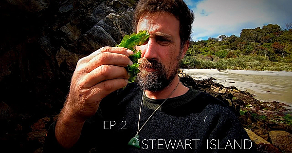 Josh James And The Bushmen Go To Stewart Island Part 2 Whitetail Freedive Crabs Spitroast Stuff