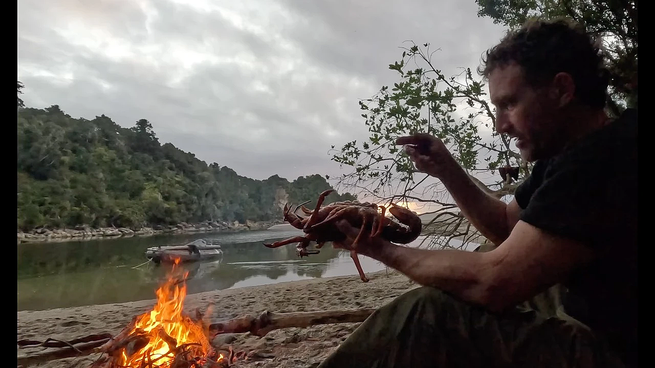 Josh James New Zealand Adventure Vlog #335 Crayfish, Flounder, Chainsaw, Freedive, Homestead Stuff