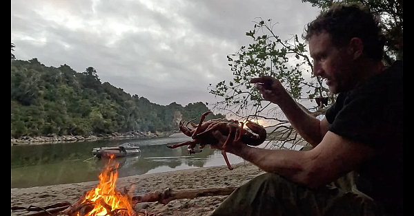 Josh James New Zealand Adventure Vlog #335 Crayfish, Flounder, Chainsaw, Freedive, Homestead Stuff