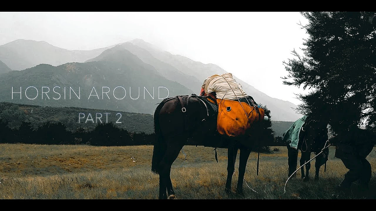 Hunting On Horseback In The Southern Alps Adventure Hunting Vlog #342