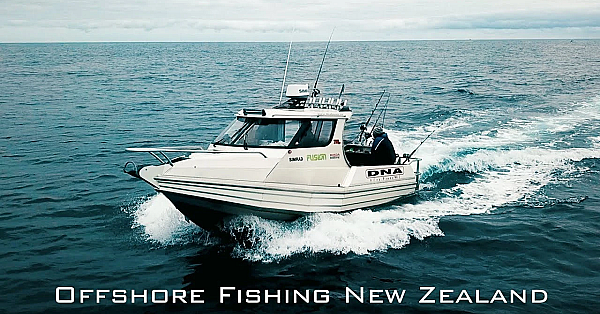 Overnight Offshore Fishing For Bluefin Tuna South Island West Coast New Zealand - Bluenose, Sharks