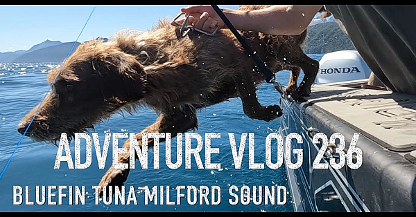 Bluefin Tuna And Fallow Deer Meat Harvesting New Zealand Adventure Vlog 232 Josh James And Friends