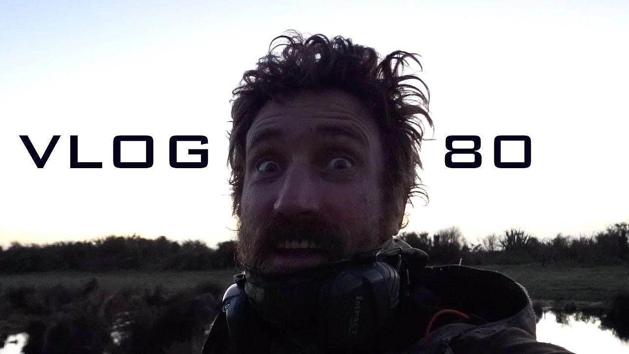 Vlog 80 - The King Is Dead, Long Live King Oi