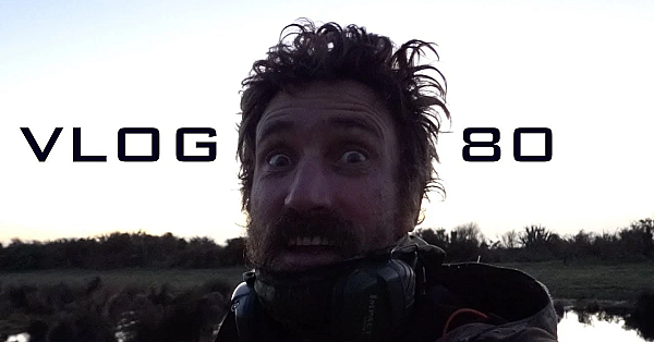 Vlog 80 - The King Is Dead, Long Live King Oi