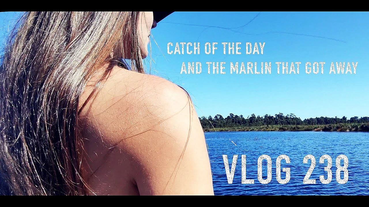 New Zealand Adventure Vlog 238 Catch Of The Day And The One That Got Away