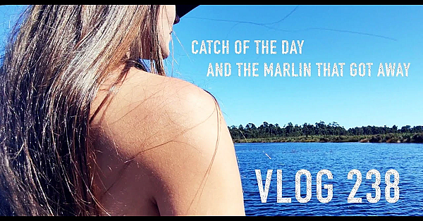 New Zealand Adventure Vlog 238 Catch Of The Day And The One That Got Away