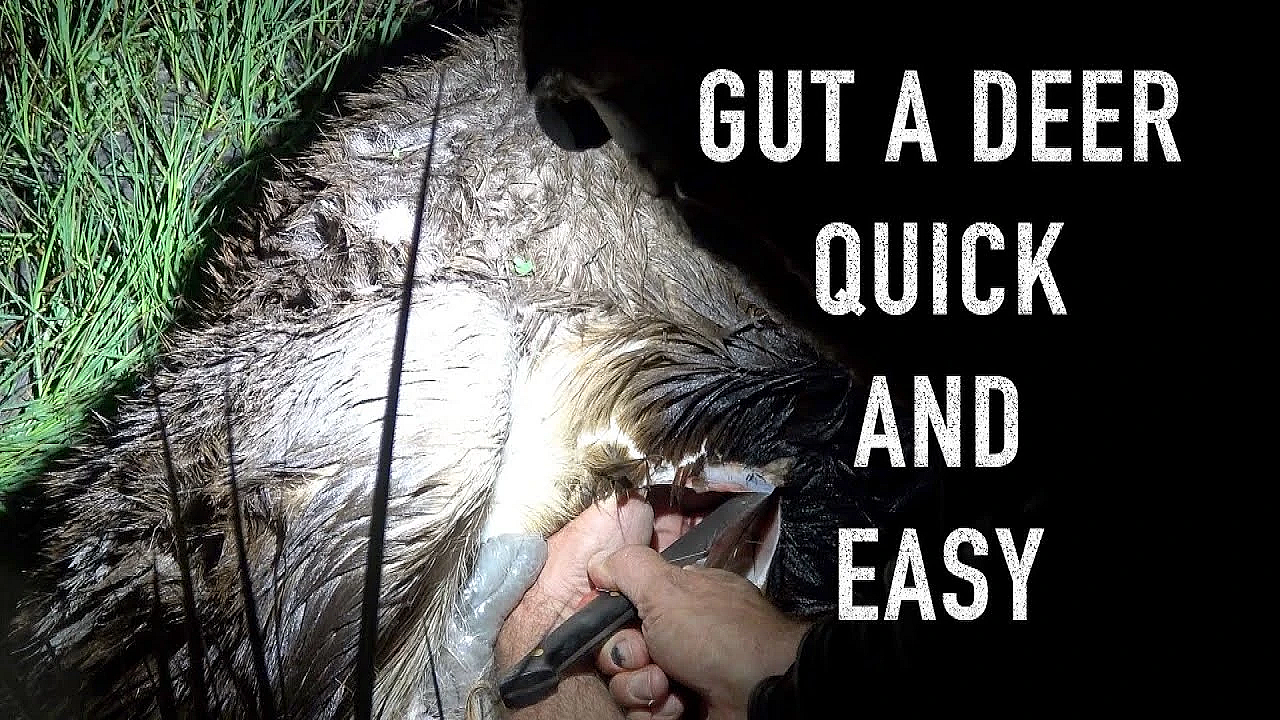 How To Gut A Deer Quick And Easy And A Deer Carry Belt System From Rogues And Royals Josh James