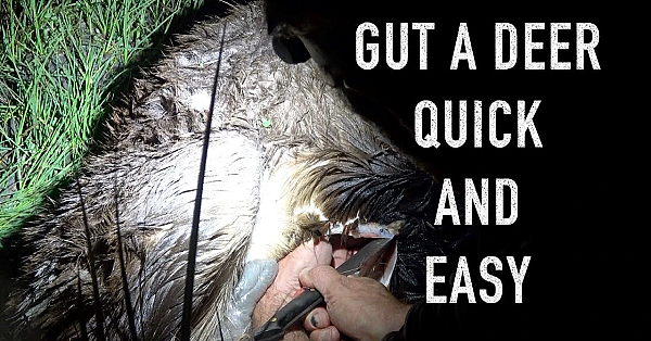 How To Gut A Deer Quick And Easy And A Deer Carry Belt System From Rogues And Royals Josh James